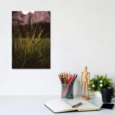 Yosemite Valley II by Bethany Young - Wrapped Canvas Photograph