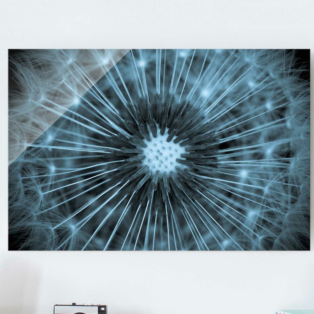 Glasbild Dandelion