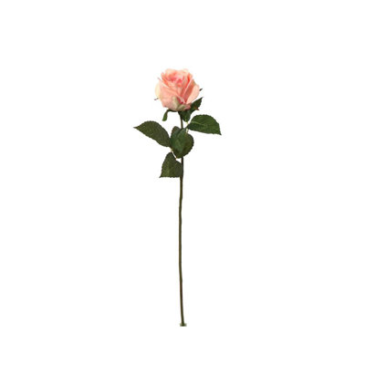 Tige rose 20 po - paquet de 12