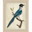 Blue Birds 3 Painting