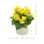 Arrangement floral bégonia-813824251-920028642