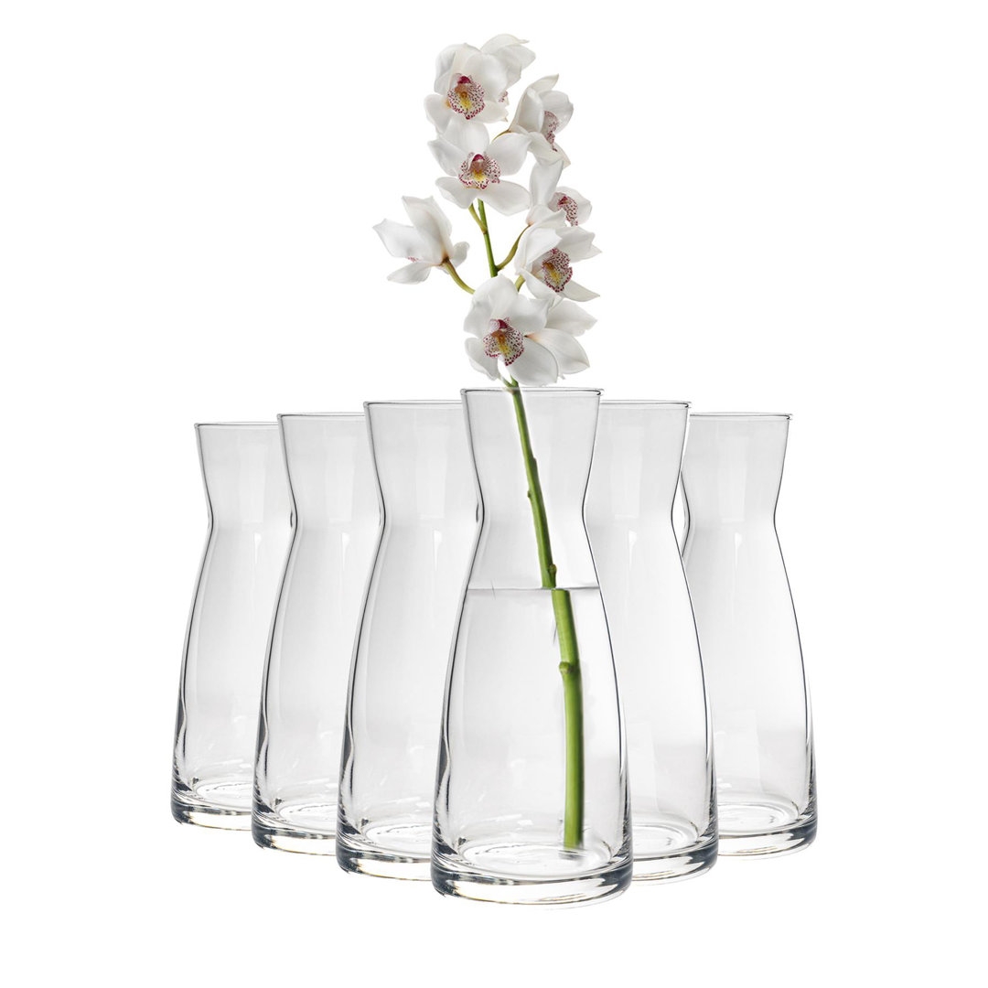 Bormioli Rocco Ypsilon Glass Carafe