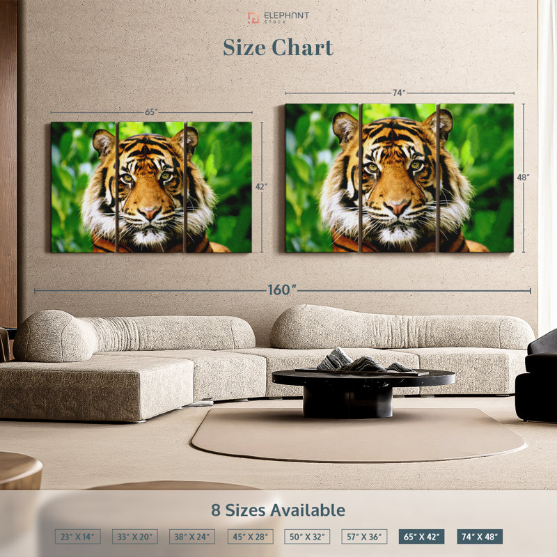 «Sumatran Tiger Gaze» sur, H 48 po x l 74 po x P 1,25 po