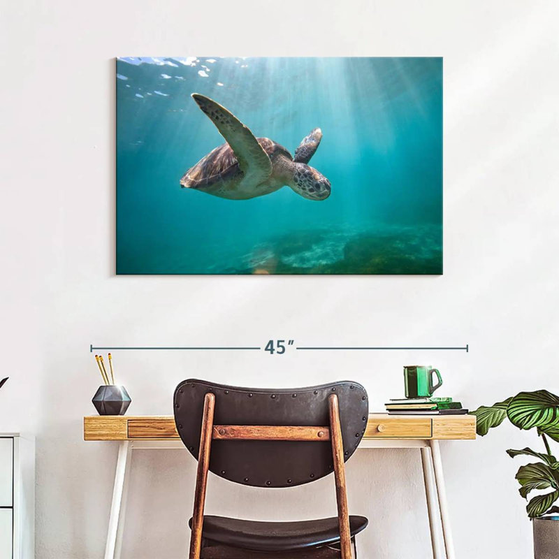Tortue de mer Brampt Martinique, H 26 po x l 39 po