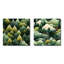 Campuzano - Ensemble de 2 collages carrés forêt-101848053-101848059