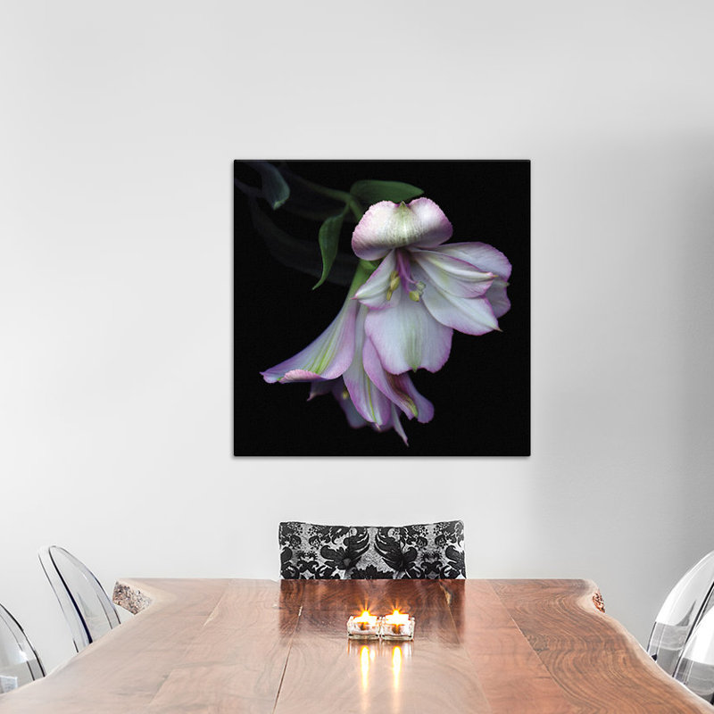 «I Feel Pretty, Ooohh So Pretty», reproduction de photo sur toile tendue, H 18 po x l 18 po x P 1,5 po, Toile encadrée noire