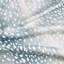 Wiley Fabric-40169655