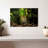 Brampt Belize Jungle Jaguar-107849461
