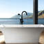 Robinet de baignoire avec douche à main - Noir mat, métal, style baignoire