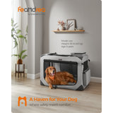 Dog Crate, S, Collapsible Pet Carrier, Portable Soft Dog Crate, Oxford Fabric, Mesh, Metal Frame, With Handle, Storage Pockets, 20 X 14 X 14 Inches