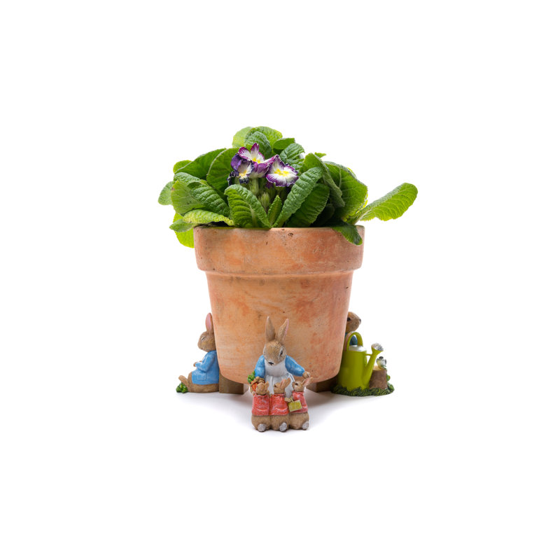 Beatrix Potter Peter Rabbit