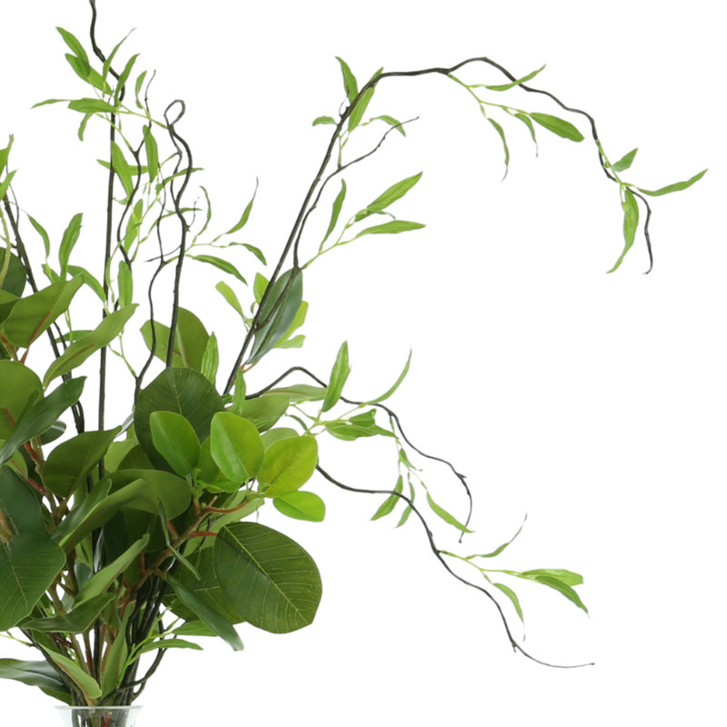 Willow Branch Arrangement In A Tall Glass Vase With Foliage