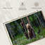 Brampt Grizzly Bear Group-108815749