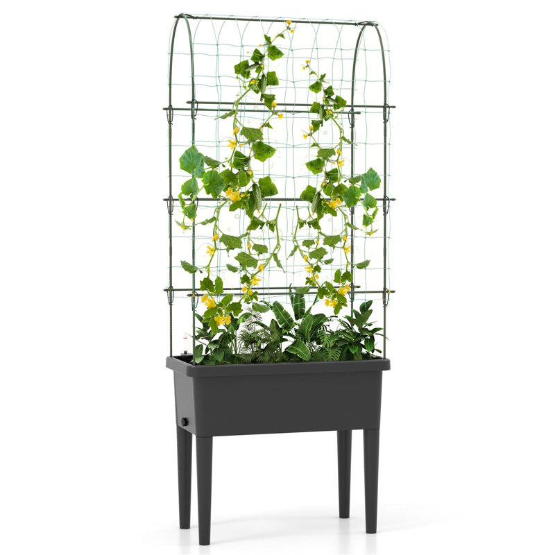 Elevated Planter
