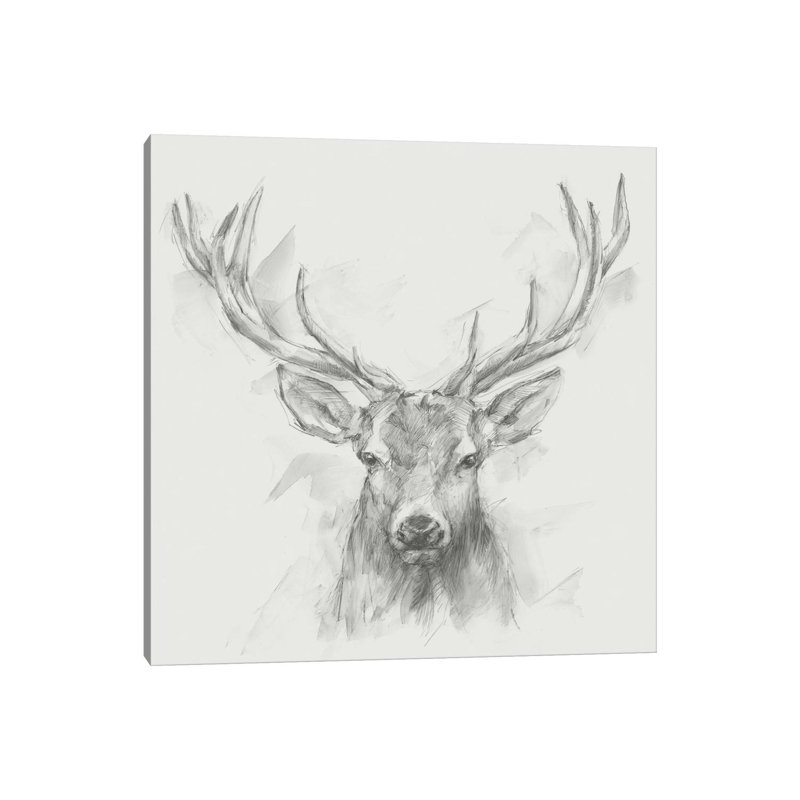 Reproduction d’art, "Contemporary Elk sketch I" par Ethan Harper, H 12 po x l 12 po x P 1,5 po, Toile tendue, Pas de tapis