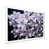 White Single Picture Framed