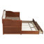 Lit de jour simple en bois avec couchette coulissante, tiroirs-2066882123