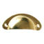 2Pcs Shell Cup Furniture Handles-121087435