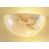 Cream is out of stock