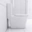 Toilette brillante avec chasse d'eau puissante et siège de cuve confortable, matériau moderne à fermeture en douceur