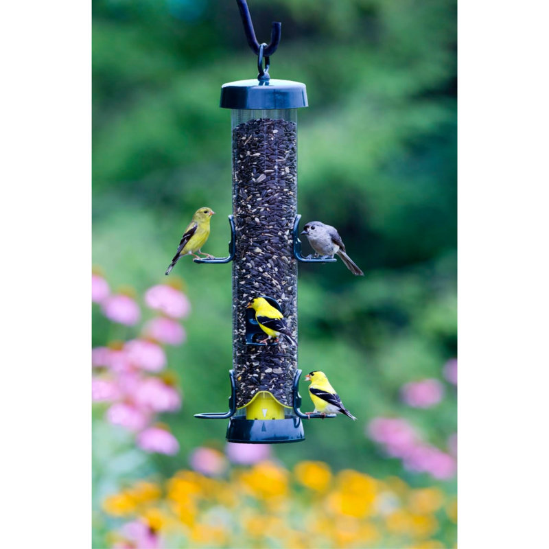 Brome Tube Solution Wild Bird Feeder, 3.4 lb Capacity, Clear