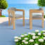 Ensemble de 2 chaises de patio Comfort, ensemble de salle à manger d'extérieur moderne en bois d'acacia