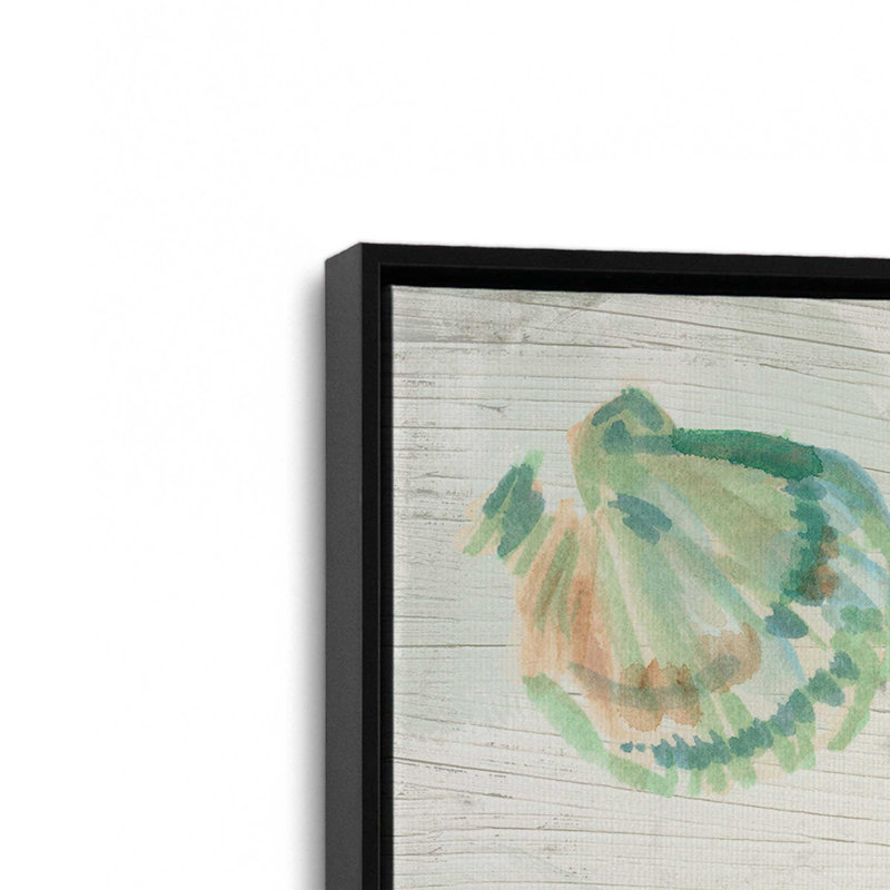 «Saltwashed Shells I» par June Erica Vess, reproduction d'art sur toile, H 36 po x l 36 po, Noir