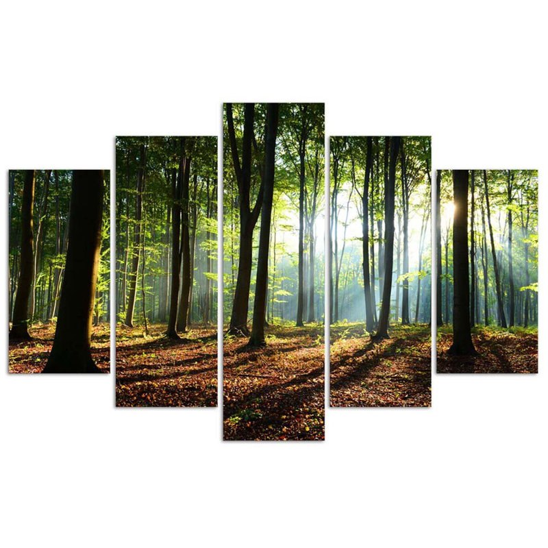 Forest Green In Nature - 5 Piece No Frame Print on Canvas, 70cm H x 100cm W