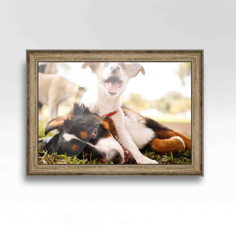 Cadre photo en bois massif, Or, L 17 po x H 20 po