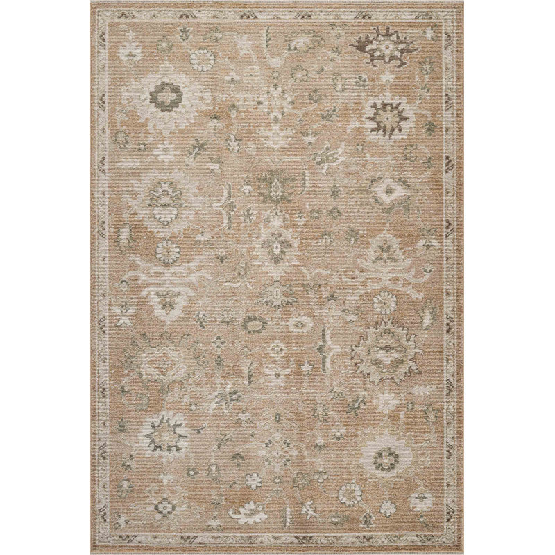 Abani Rugs EVE120A Evelyn Traditional Vintage Terracotta Rust Ivory Area Rug, Rectangle 6' x 9'5"