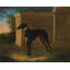 «Portrait of a Greyhound, Called Pompon» par John Wootton - Art mural sur toile tendue avec châssis-2133593680