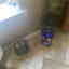 Customer photo 2 of 2