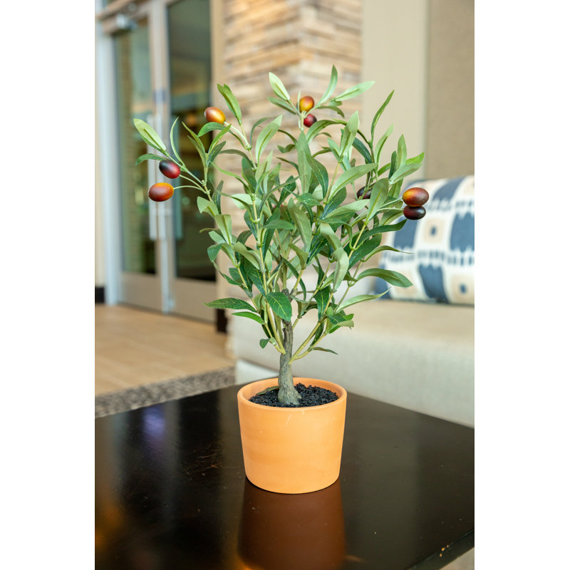 18'' Faux Olive Tree Tree in Terracotta Pot