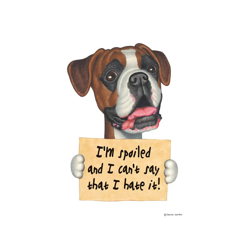 «Boxer I'm Spoilé» par Danny Gordon, impression sur toile tendue, H 12 po x l 8 po x P 0,75 po