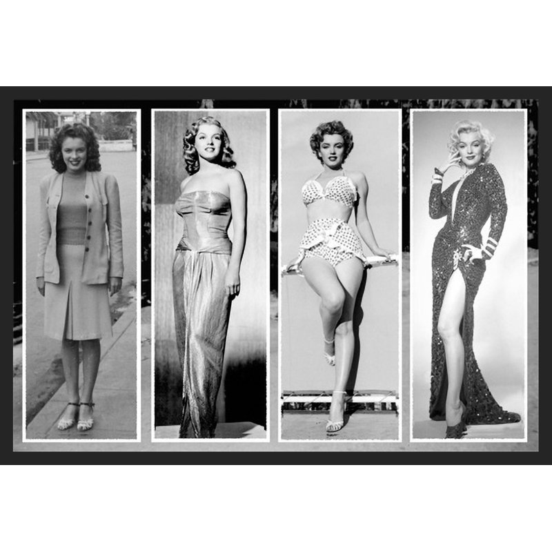 " Marilyn Evolution "