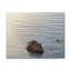 «Beaver Hunting Beaver on Hunt», reproduction d'art mural-1970048767