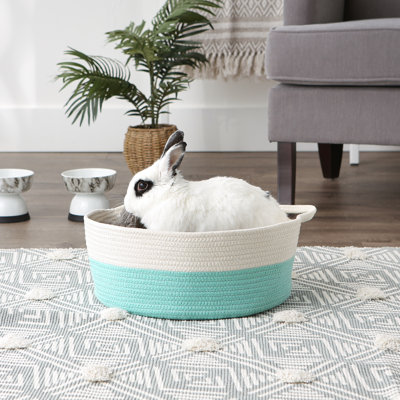 Highland Dunes Cotton Decorative Basket