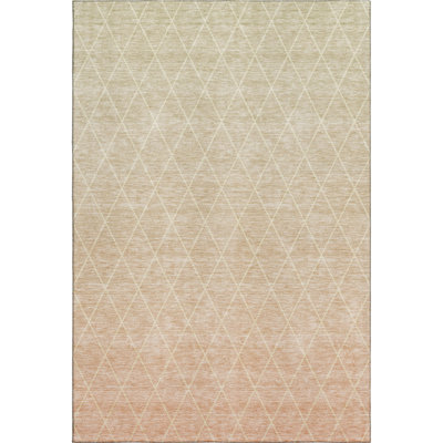 Tapis géométrique de qualité supérieure lavable à la machine AMF1175