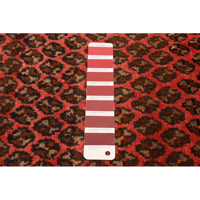 Tapis rouge Andelz 3 pi 5 po x 9 pi 0 po