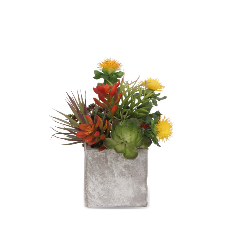 Arrangement floral mixte en pot
