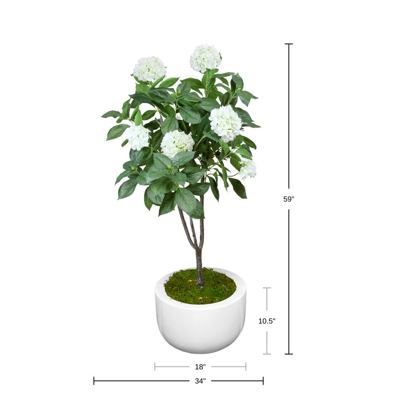 Hydrangea Tree in Round Fiberstone Planter