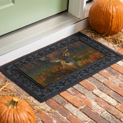 Tapis d'automne Autumn Buck Sassafras
