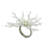 Napkin Ring Collection Napkin Ring