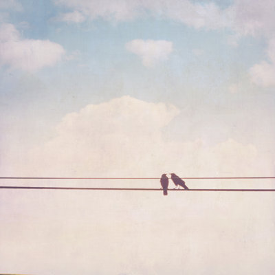 Birds On Wires II