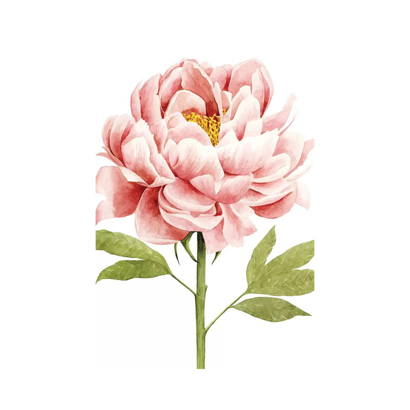 Watercolour Peony II - Wrapped Canvas Print, 20.32 cm H x 30.48 cm W