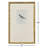 Antique Hummingbirds Framed Art