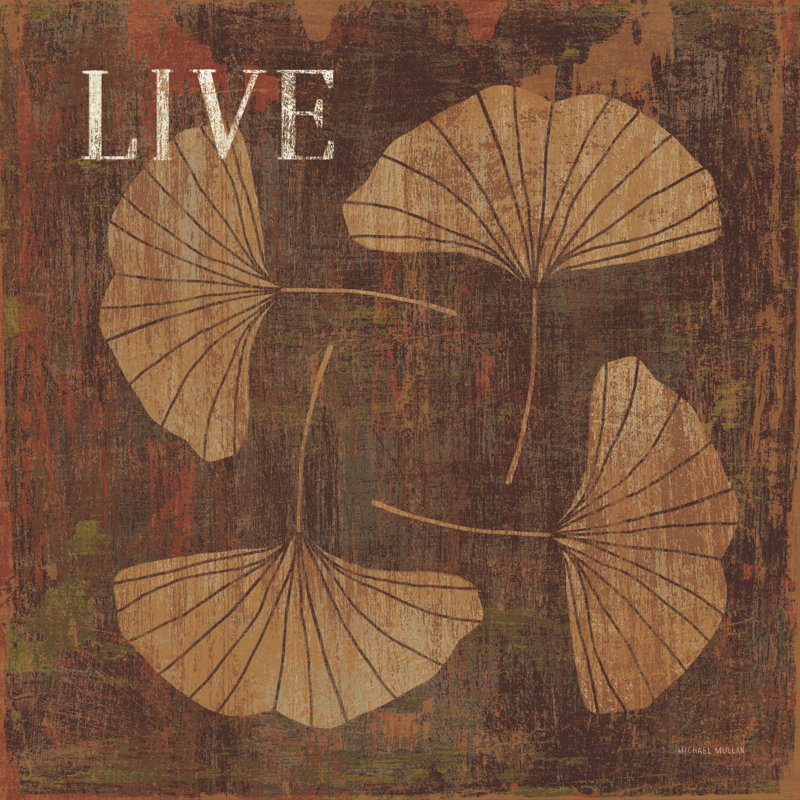 Leaf Inspiration II by Michael Mullan - Wrapped Canvas Print, 51cm H x 51cm W