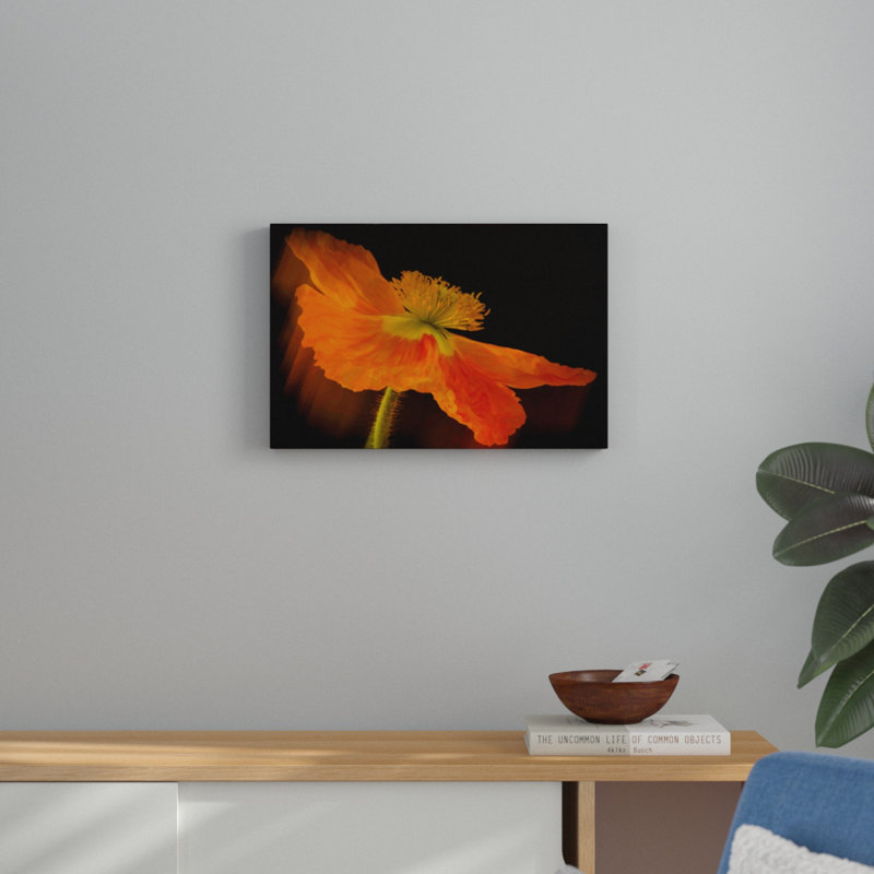 Dramatic Orange Poppy 1 Piece Wrapped Canvas Wall Art, 102 cm H x 152 cm W