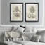 «Fresco Crown Imperial II», ensemble de 2 reproductions d'art encadrées-1448787858-1448787868-1448787870