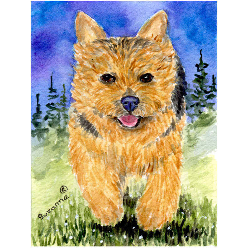Norwich terrier polyester 40 x 28 po drapeau maison